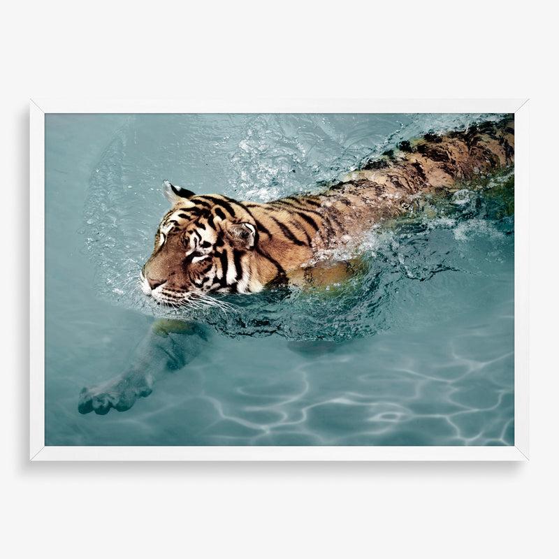 Large wall art featuring tiger swimming. 