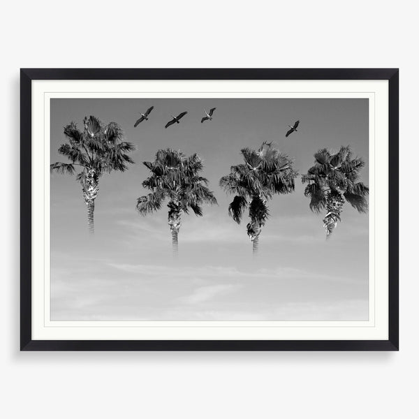 Large wall art featuring palm tree black and white photography. 