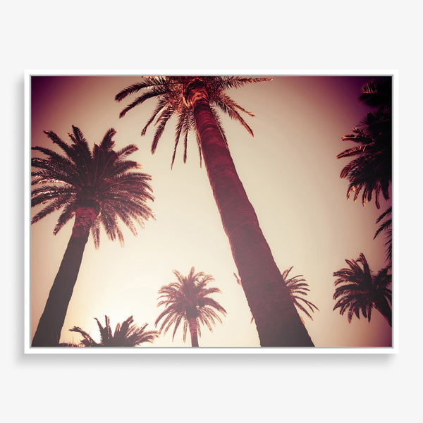 Large wall art featuring palm tree photography. 