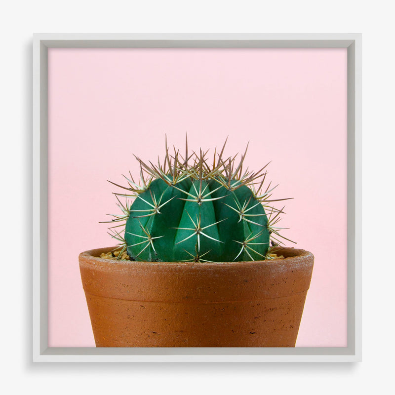 Large wall art piece featuring cacti on color background. 