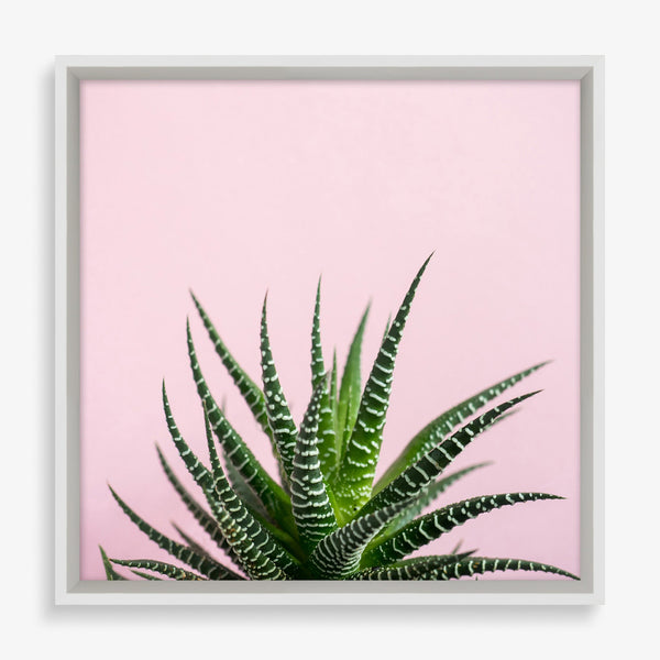 Large wall art piece featuring cacti on color background. 