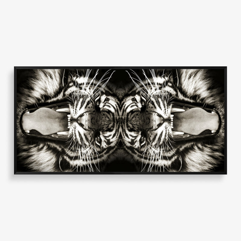 Large wall art of nature photography featuring a tiger mirrored in black and white and contrast. 