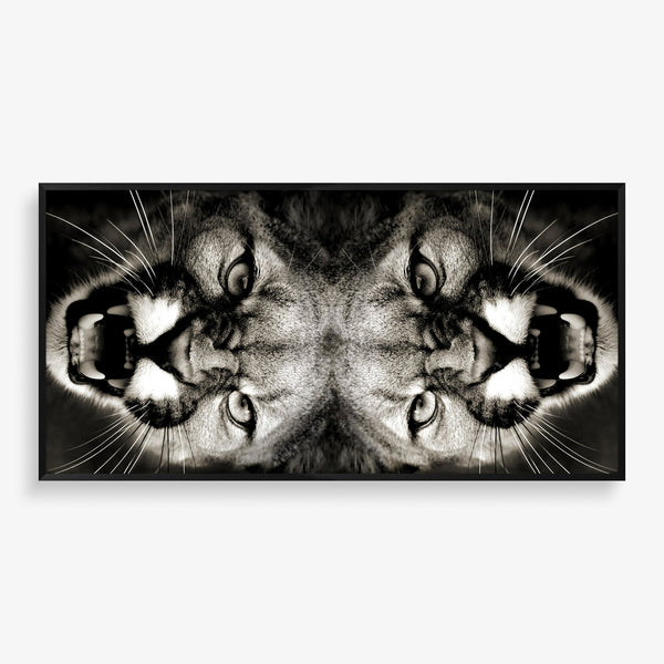 Large wall art of nature photography featuring a puma mirrored in black and white and contrast. 